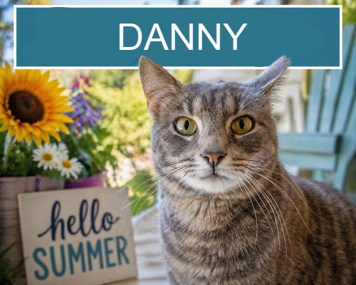 Danny (FCID# 02/05/2026 - 45 Glen Mills PS) C