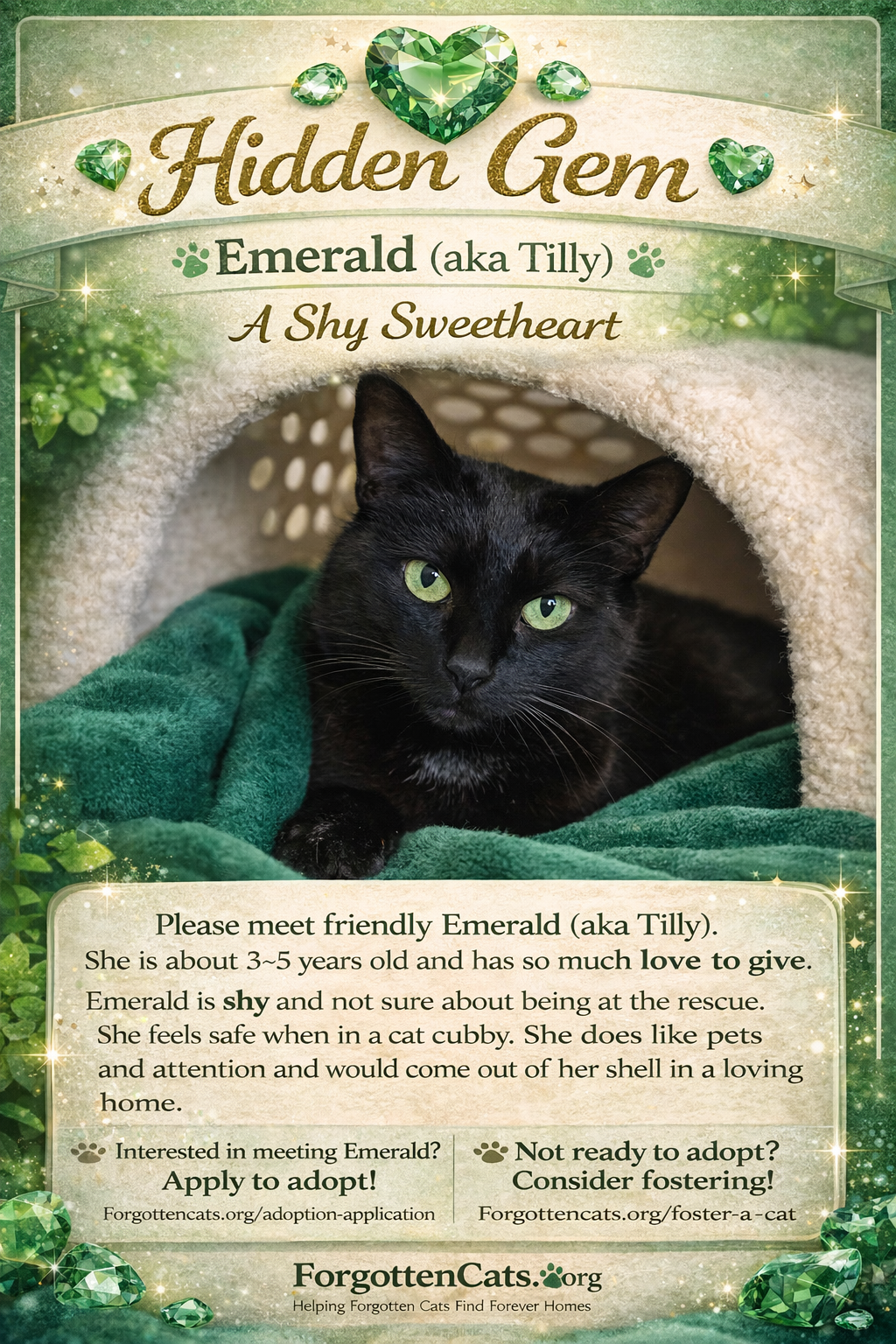 Emerald aka Tilly (FCID# 02/02/26-16 Christiana PS Image