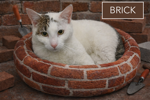 Brick (FCID# 02/12/2026 - 7), Adult Tabby (short coat), cat for adoption in Dover, Delaware
