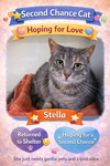 Stella  (FCID# 06/16/2023 - 129) - Photo 5