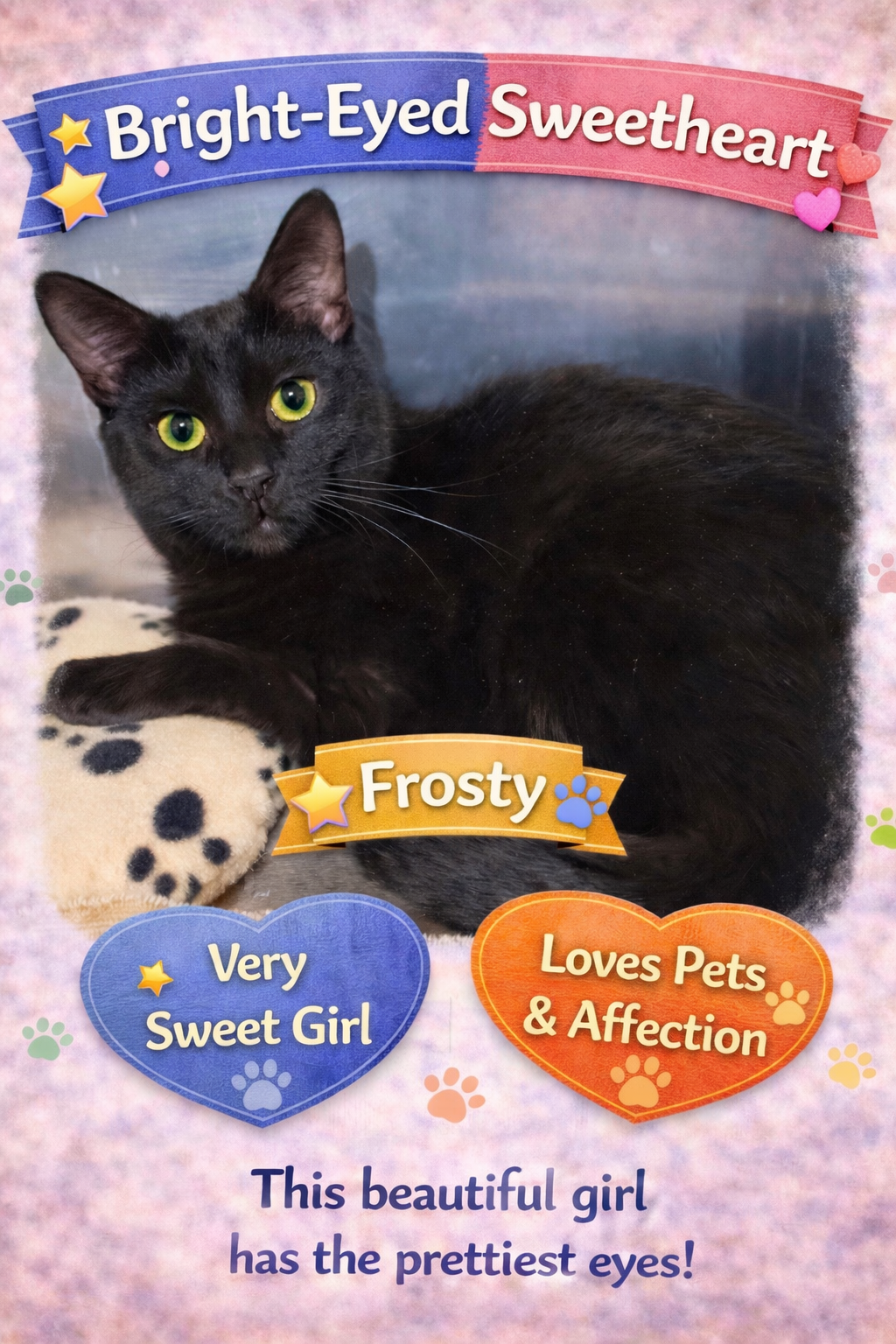 Frosty: Foster Requested (FCID# 5/12/25-63 Train Image