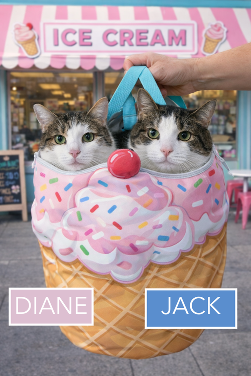 Jack & Diane: Bonded Pair (FCID# 8/1/2019 - 10,14), an adoptable Domestic Short Hair in Greenville, DE