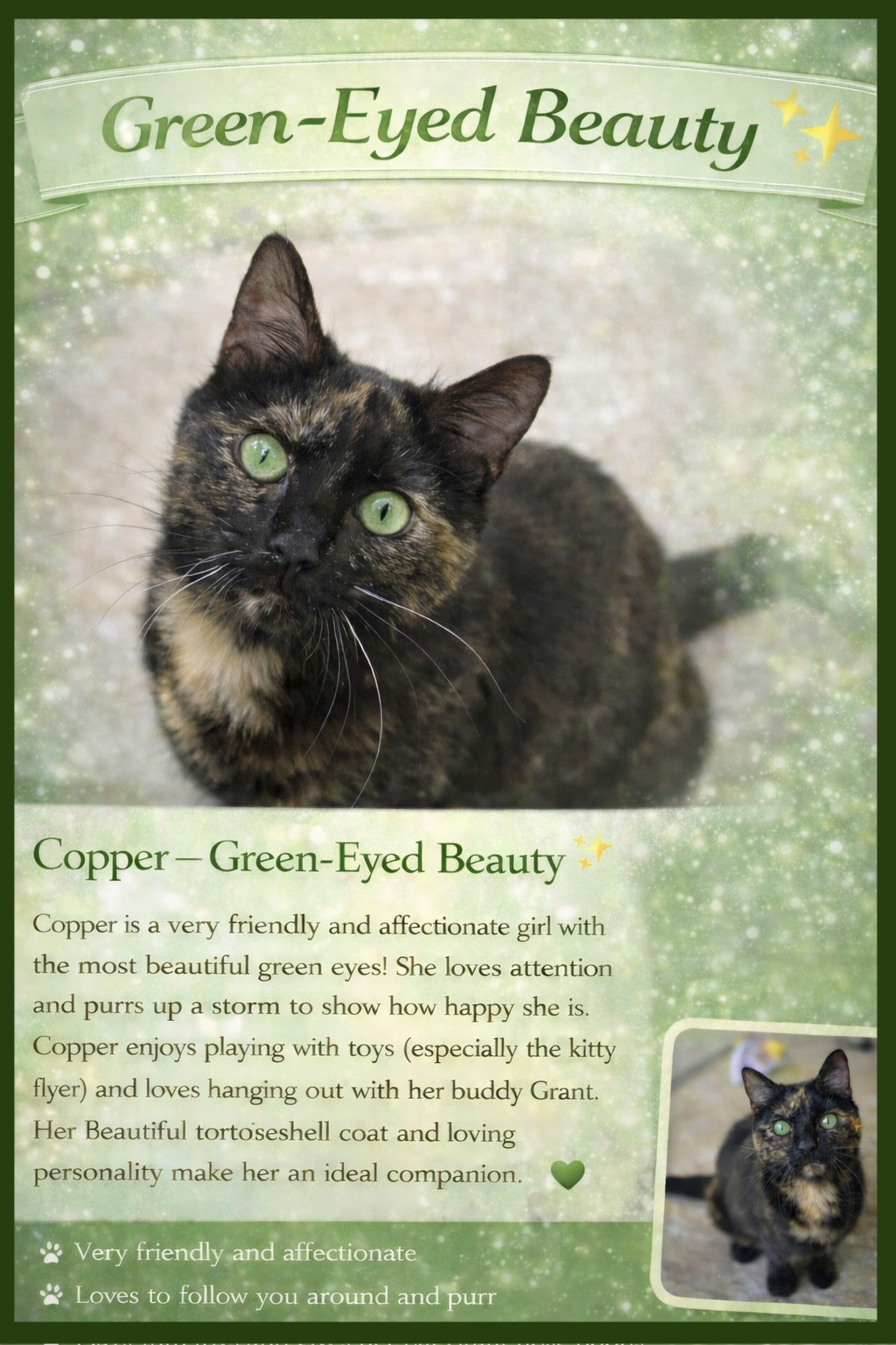 Copper (FCID# 03/05/2026 - 63 Brandywine PS) C Image