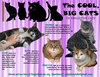 Big Cats:  11+ pounds, Part 4 - Photo 1