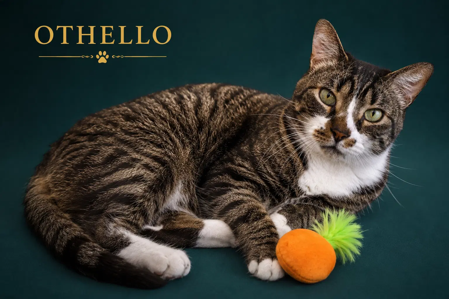 Othello Fcid  -  Kc image 2