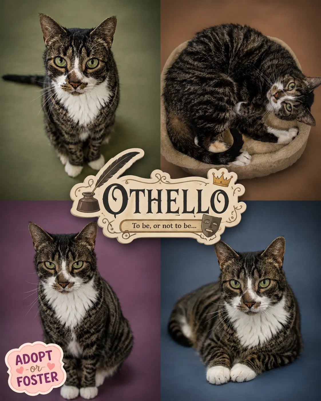 Othello Fcid  -  Kc image 4