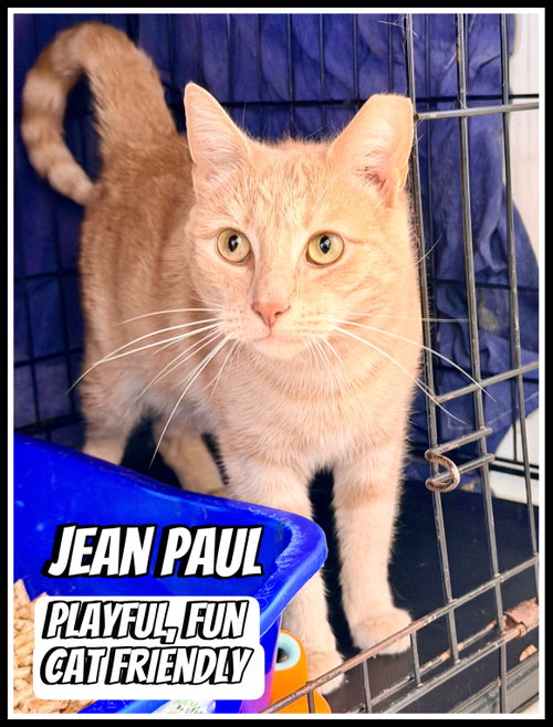 Jean Paul (FCID 1/12/26-82) Willow Grove PA