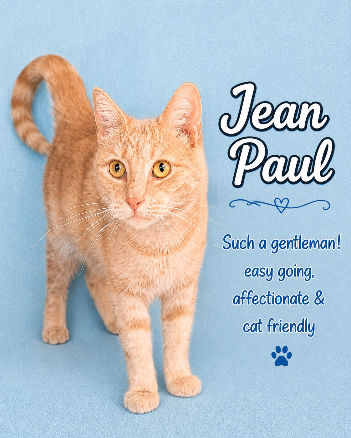 Jean Paul (FCID 1/12/26-82) Willow Grove PA, cat