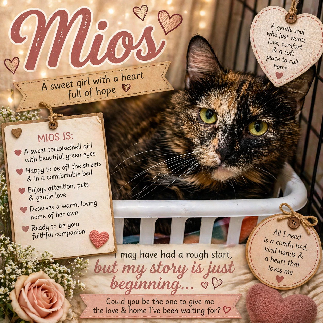 Mios Wdaughter Lulu Fcid - Bps C
