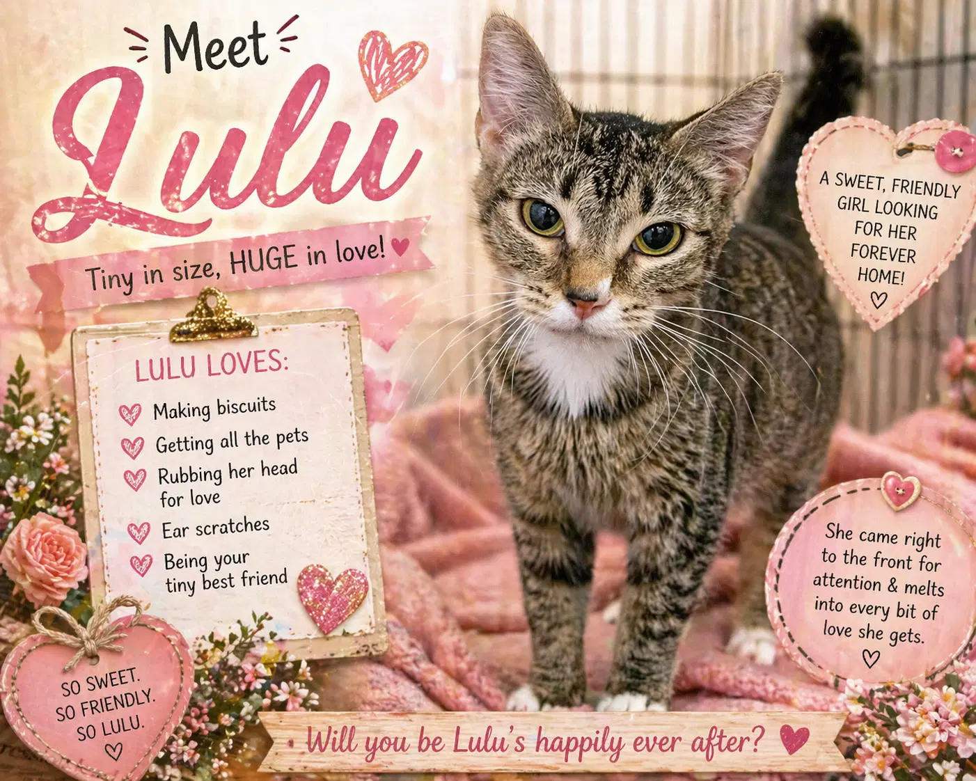 Lulu Fcid  -  C image 2