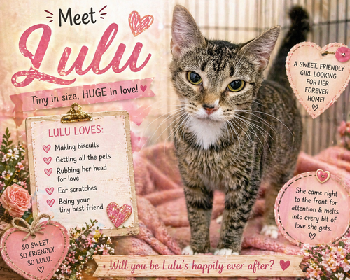 Lulu w/ mom Mios (FCID# 04/16/2026 - 17 BPS) C, a cat for adoption from Forgotten Cats, Inc.