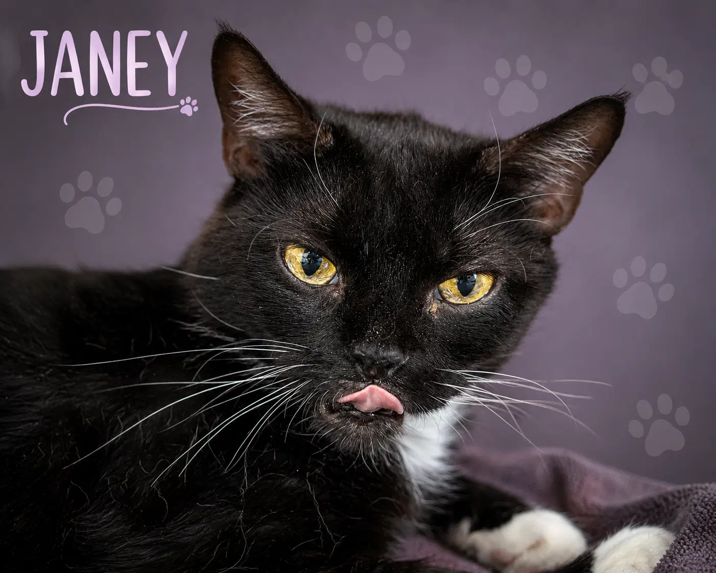 Janey Fcid  -  Trainer image 1