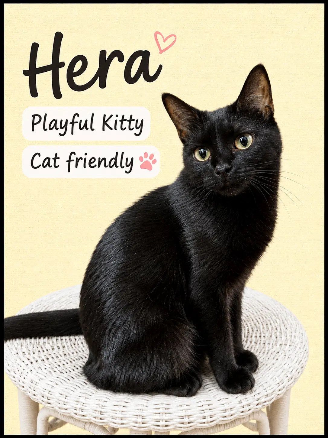 Hera Fcid - Willow Grove Pa image 1