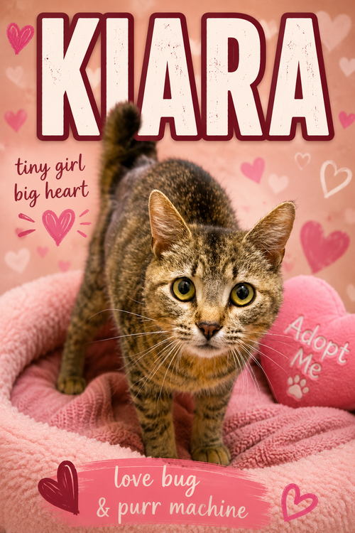 Kiara (FCID# 05/07/2026 - 60 Trainer)