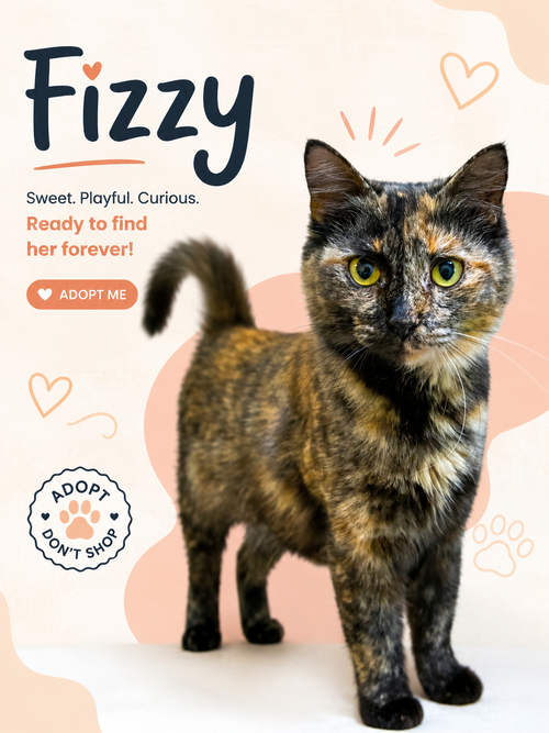 Fizzy:  DMH (FCID# 05/11/2026 - 34 Millsboro PS), Young Domestic Medium Hair / Tortoiseshell / Mixed (medium coat), cat for adoption in Marcus Hook, Pennsylvania