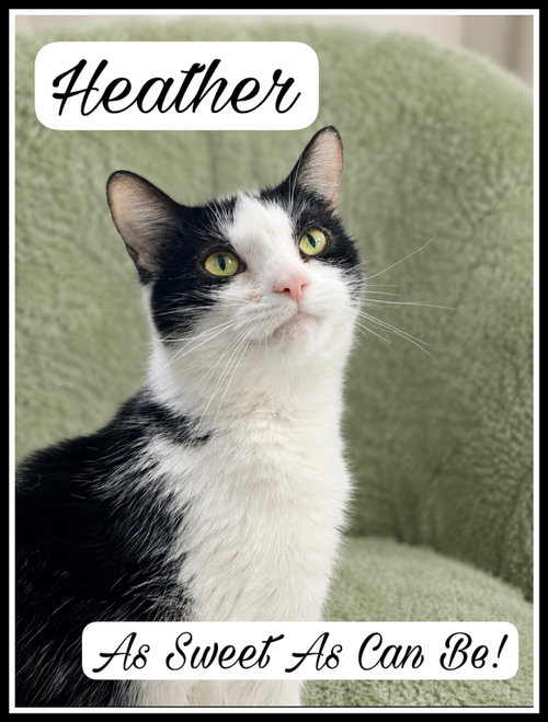 Heather (FCID#04/22/2026 - 146) Willow Grove