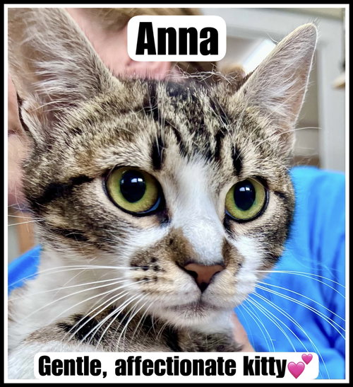 Anna (FCID# 05/12/2026 - 116) Willow Grove