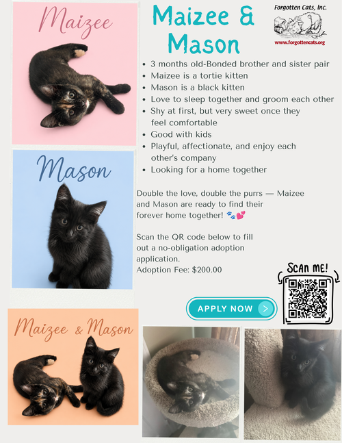 Maizee w/Mason (m): (FCID# 05/18/2026 - 67, 68) KC