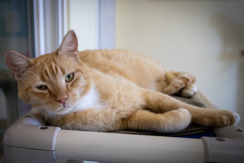Catrick Swayze photo 3