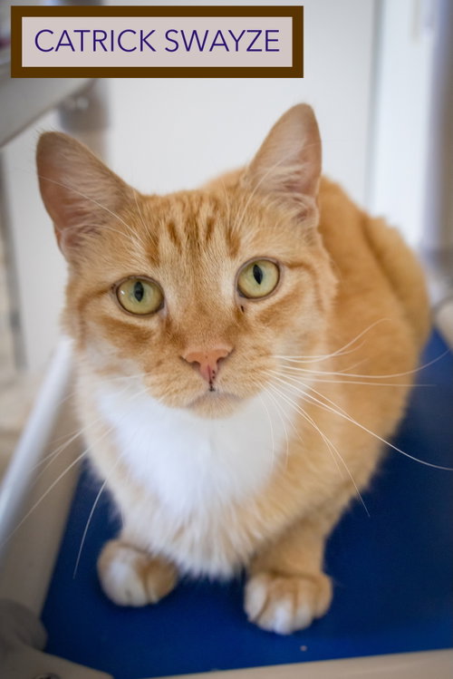 Catrick Swayze photo 5