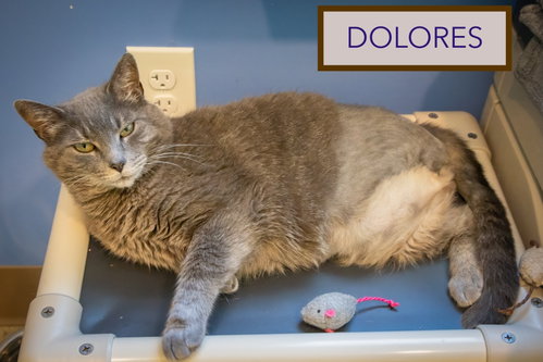 Dolores photo 3