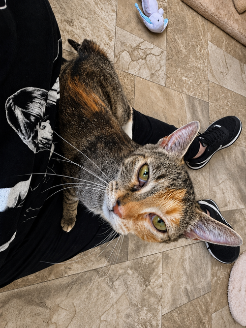 Delilah photo 2