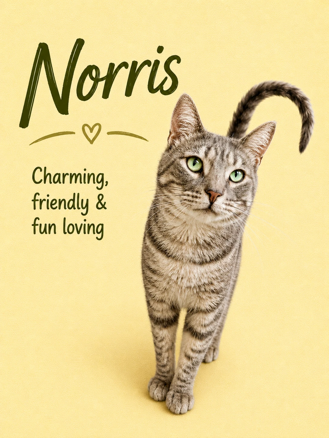 Norris - Willow Grove