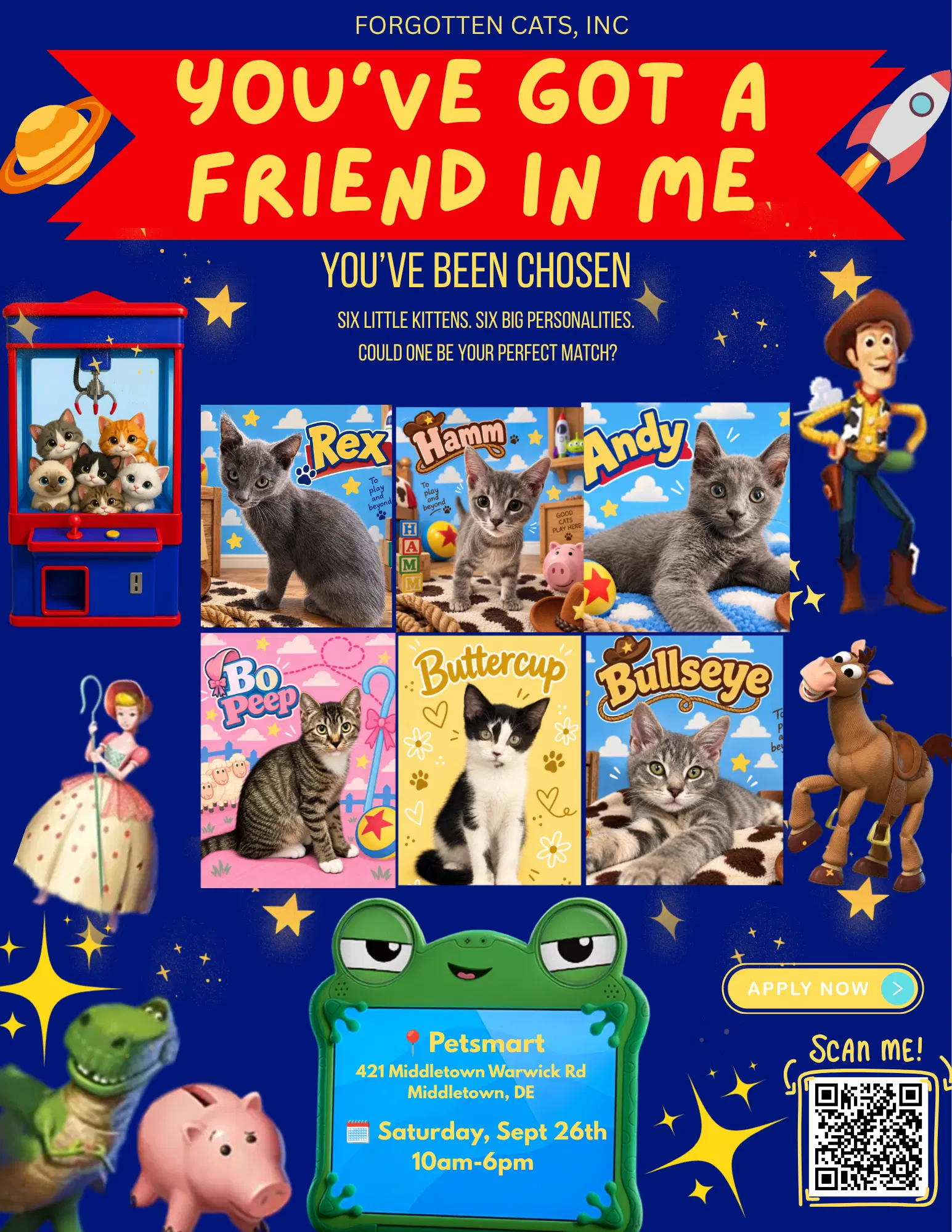 Middletown Ps Adoption Event Sept - Domestic Short Hair