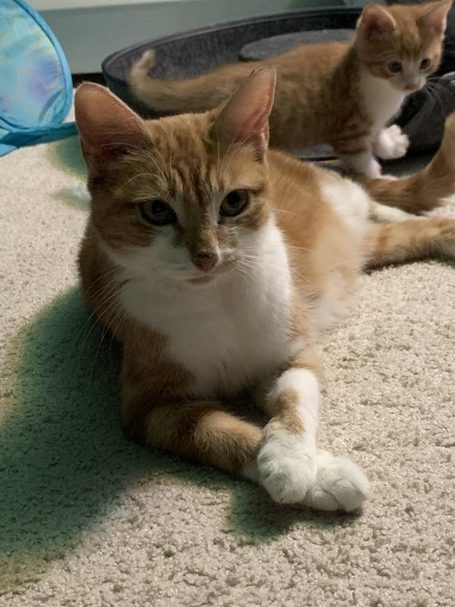 Lilly photo 3