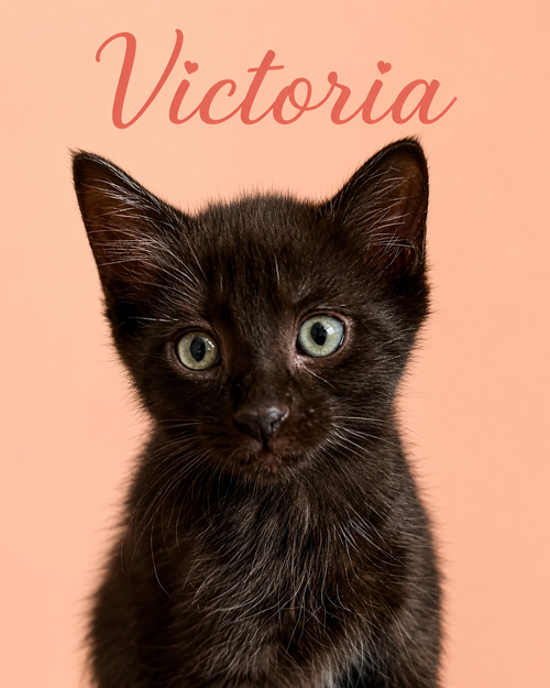 Victoria photo 2