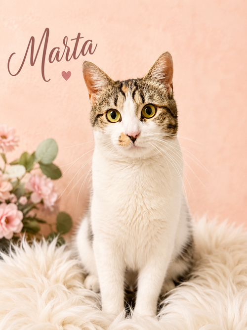 Marta