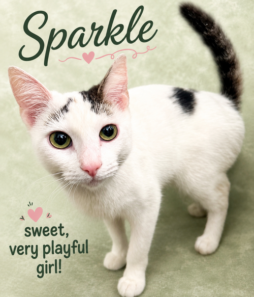 Sparkle