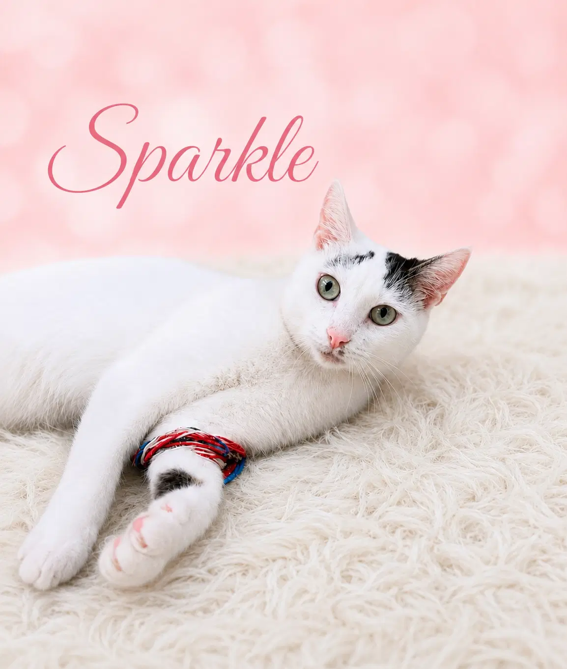 Sparkle Fcid - Willow Grove image 2