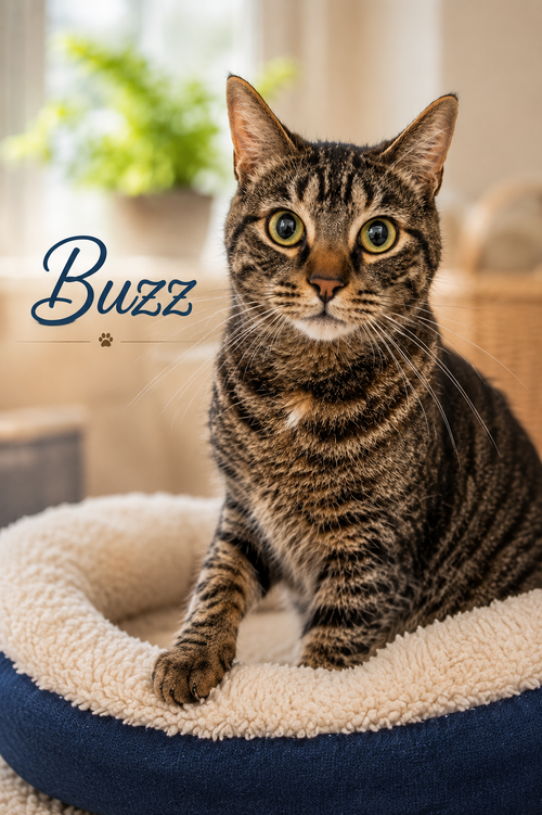 Buzz & Jesse: Bonded photo 2