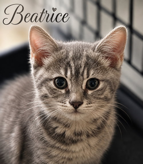 Beatrice