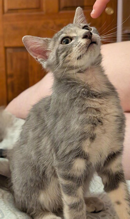 Galileo