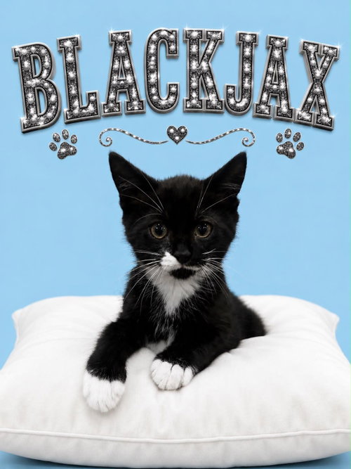 Blackjax