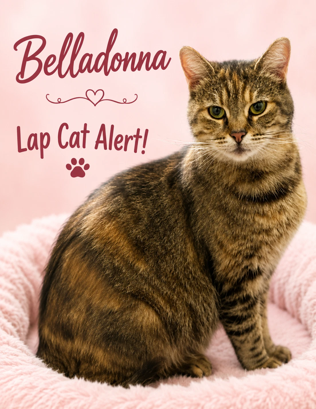 Belladonna Fcid  -