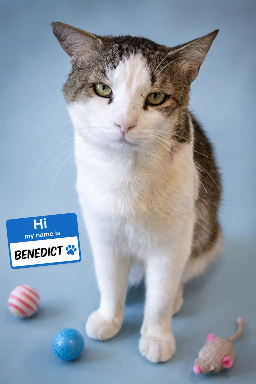 Benedict Fcid  -  Millsboro Ps image 2
