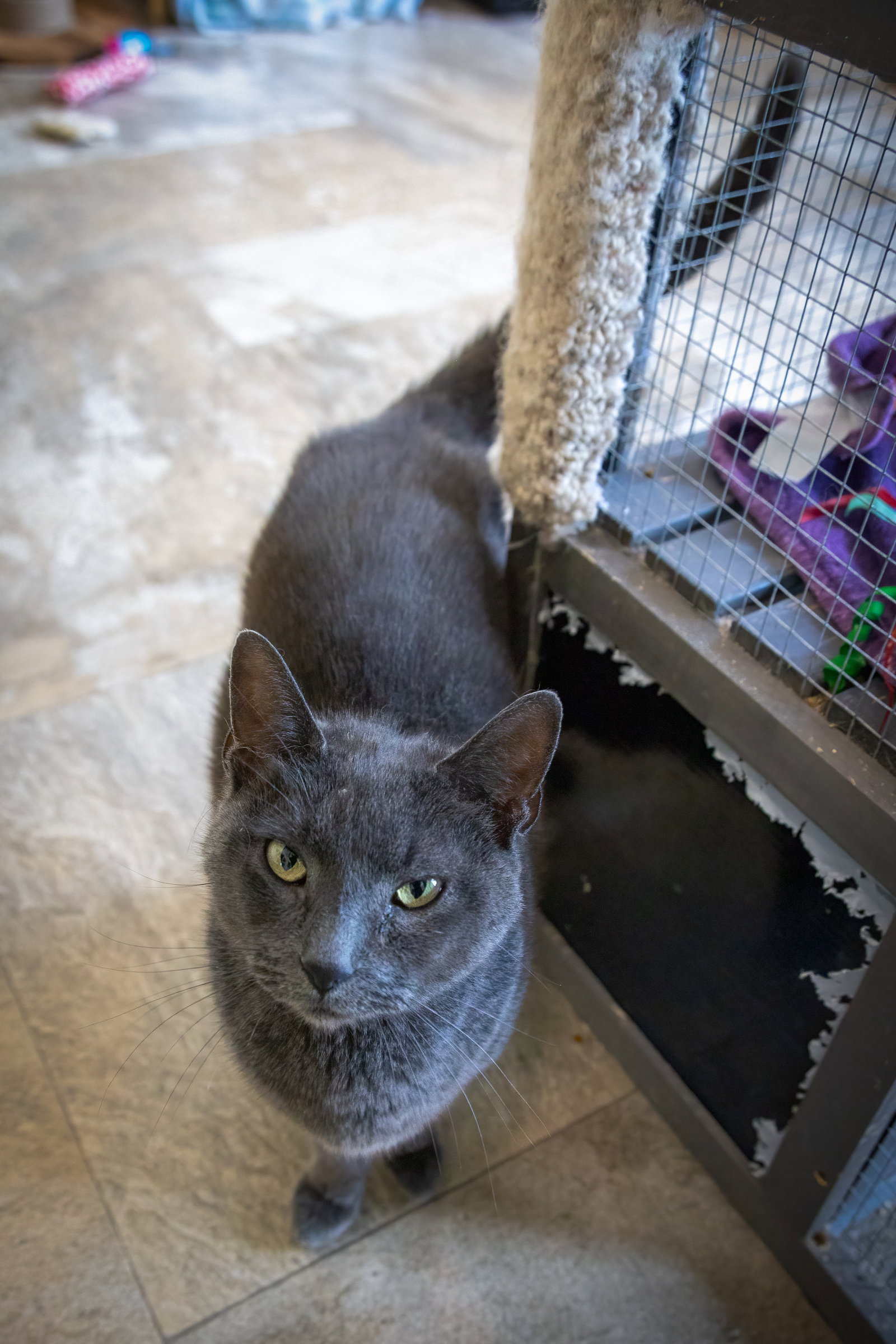 Bonnie (FCID# 06/29/2026 - 9 Trainer), photo 9