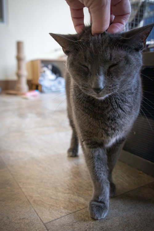 Photo 3 of Bonnie (FCID# 06/29/2026 - 9 Trainer)