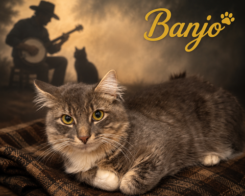 Banjo