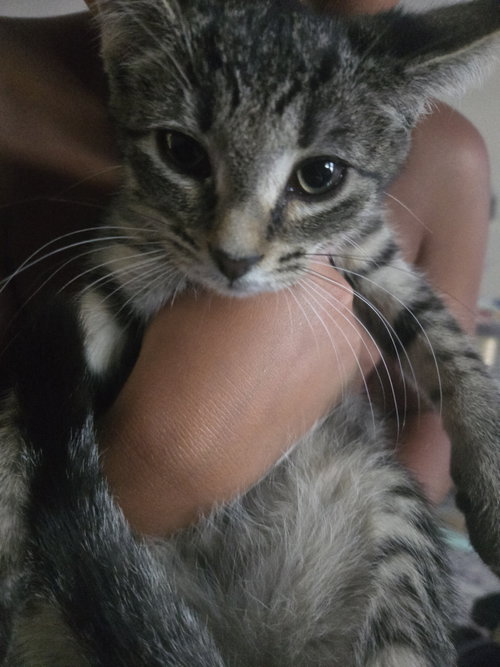 Frodo photo 3