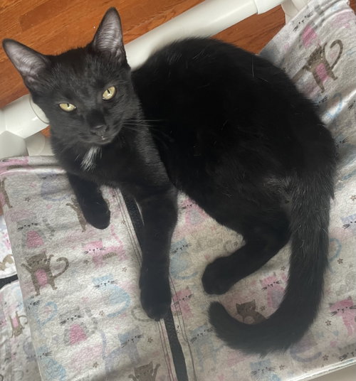 Photo 2 of Rosalina, Willow Grove Area, (7/15/26-139)