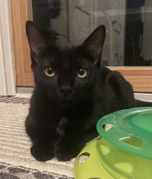 Photo 3 of Rosalina, Willow Grove Area, (7/15/26-139)