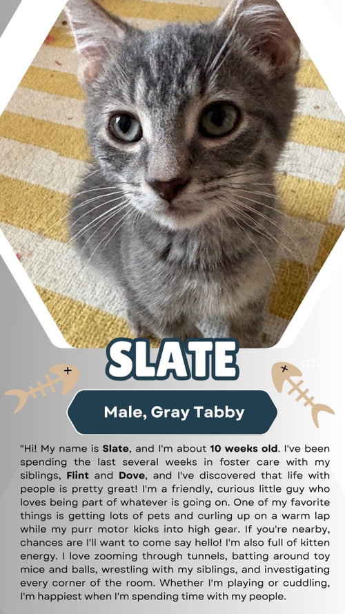 Slate
