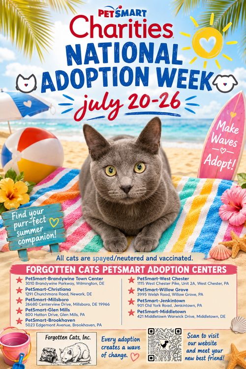 PetSmart National Adoption Week July 20-26