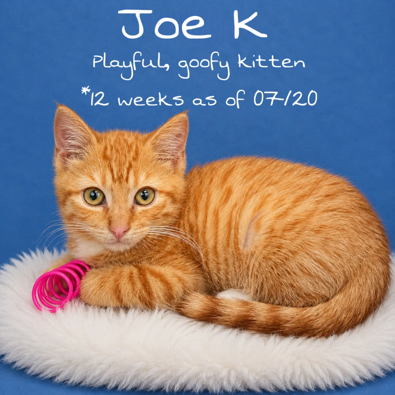 Joe K Fcid  -