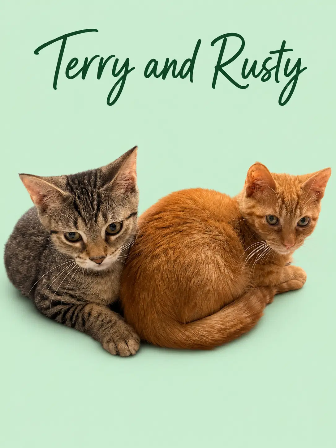 Rusty W Terry Fcid - Middletown Ps image 2
