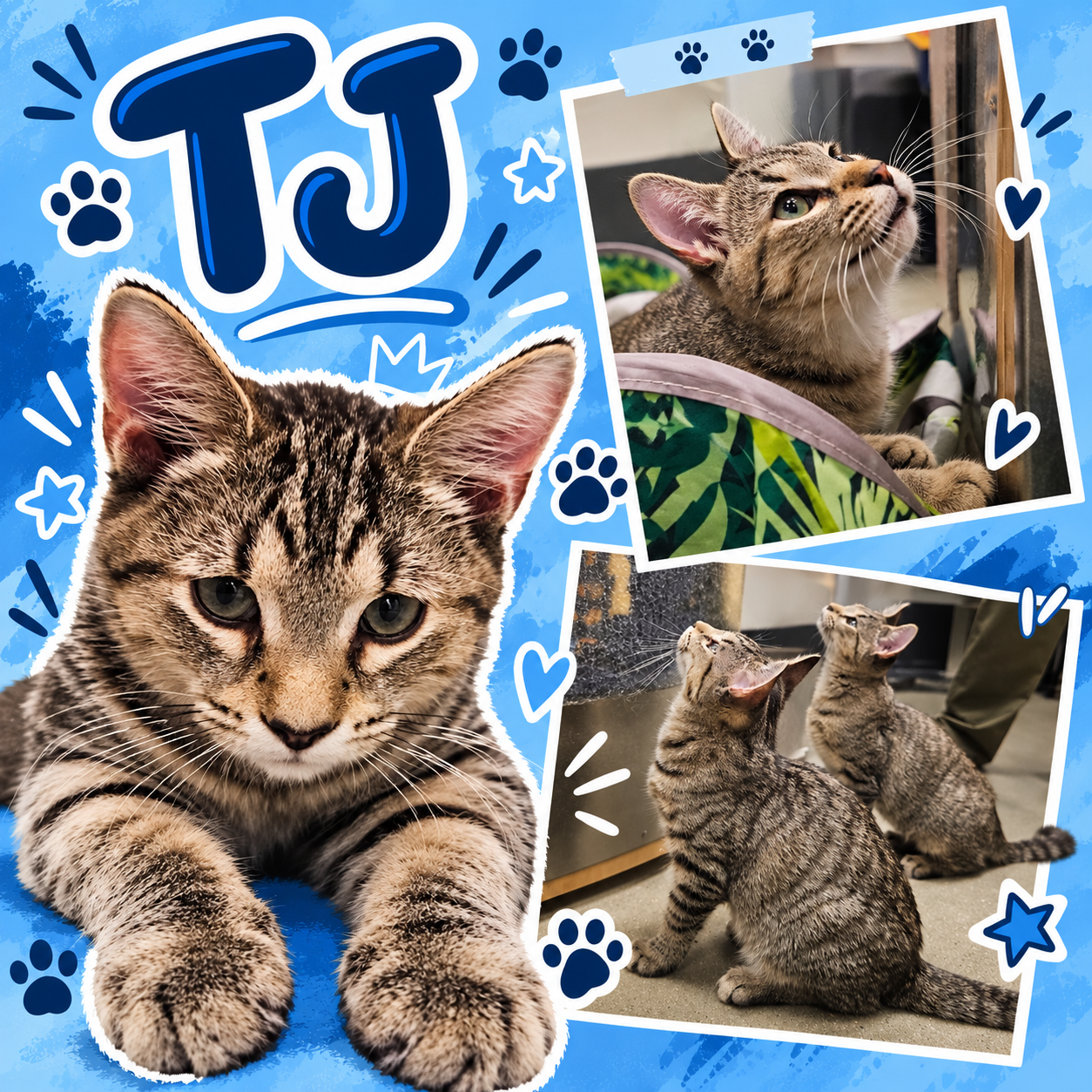 TJ (FCID# 08/18/2026 - 9 Middletown PS) C